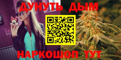 МДПВ Новодвинск
