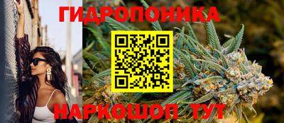 МДПВ Новодвинск