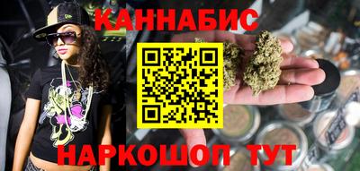 МДПВ Новодвинск