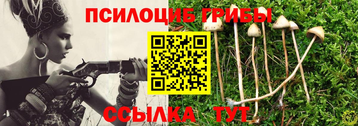 продажа наркотиков  Вход с VPN  Псилоцибиновые грибы Cubensis  Славянск-на-Кубани  Псилоцибиновые грибы MAGIC MUSHROOMS 